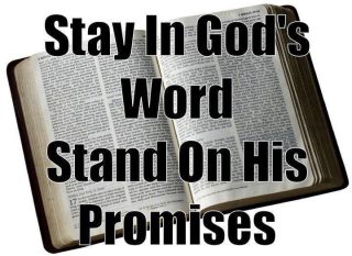 God's Word Is The Bible