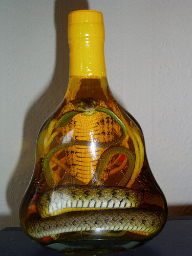 snake-wine