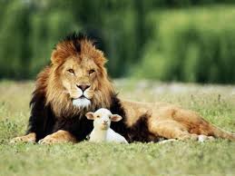 Lion And Lamb In Millennium